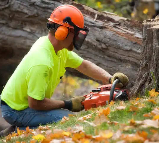 tree services East Marion